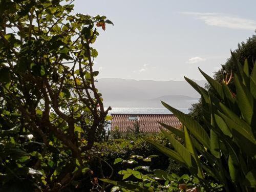 Ajaccio Studio Parc Berthault / Albert 1Er エクステリア 写真